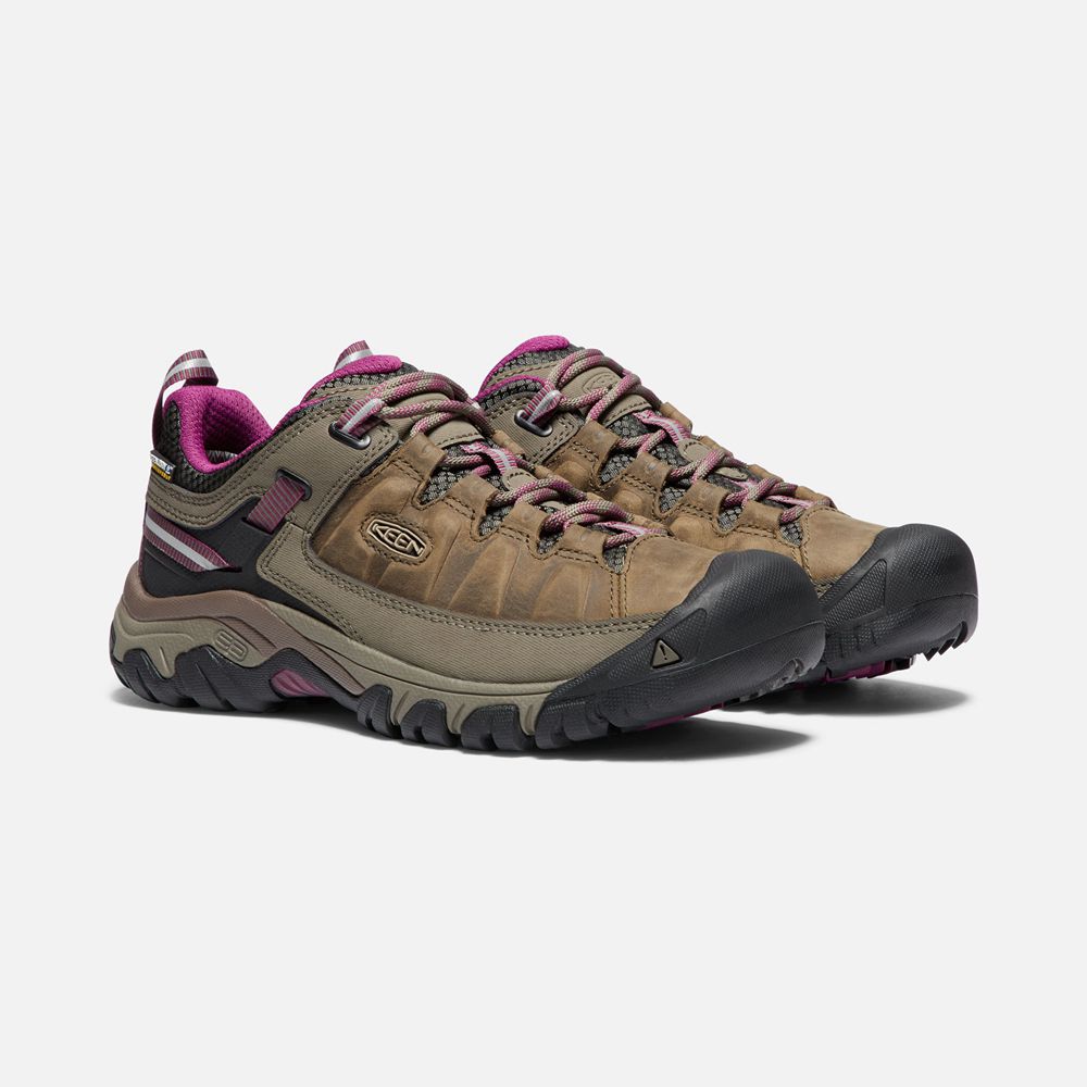 Keen Wandelschoenen Dames Bruin - Targhee Iii Waterproof - 87126-GFUM